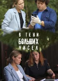 В тени больших чисел. По следу дождя