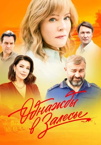 Однажды в Залесье-1 сезон